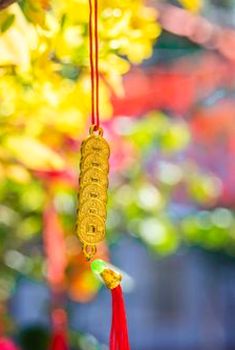 ví điện tử Debet